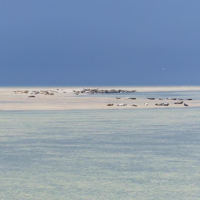 Vue Mer Berck Eksteriør billede